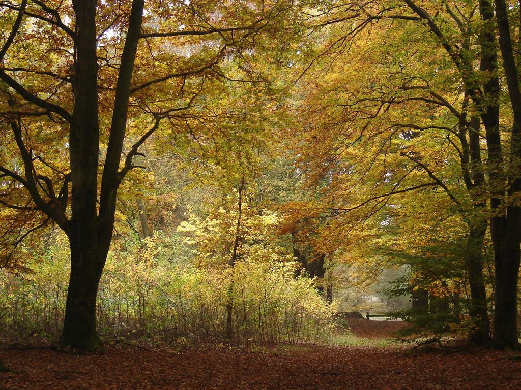 Hof Van Putten Bagian luar foto