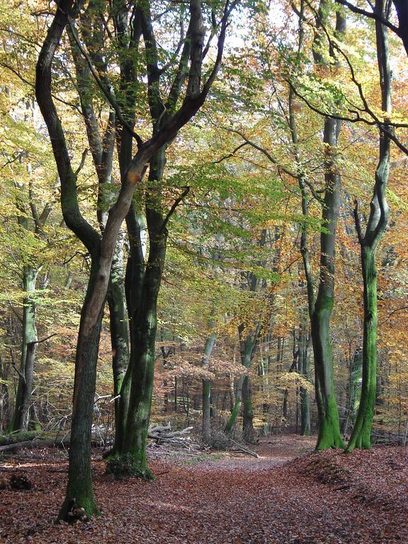 Hof Van Putten Bagian luar foto